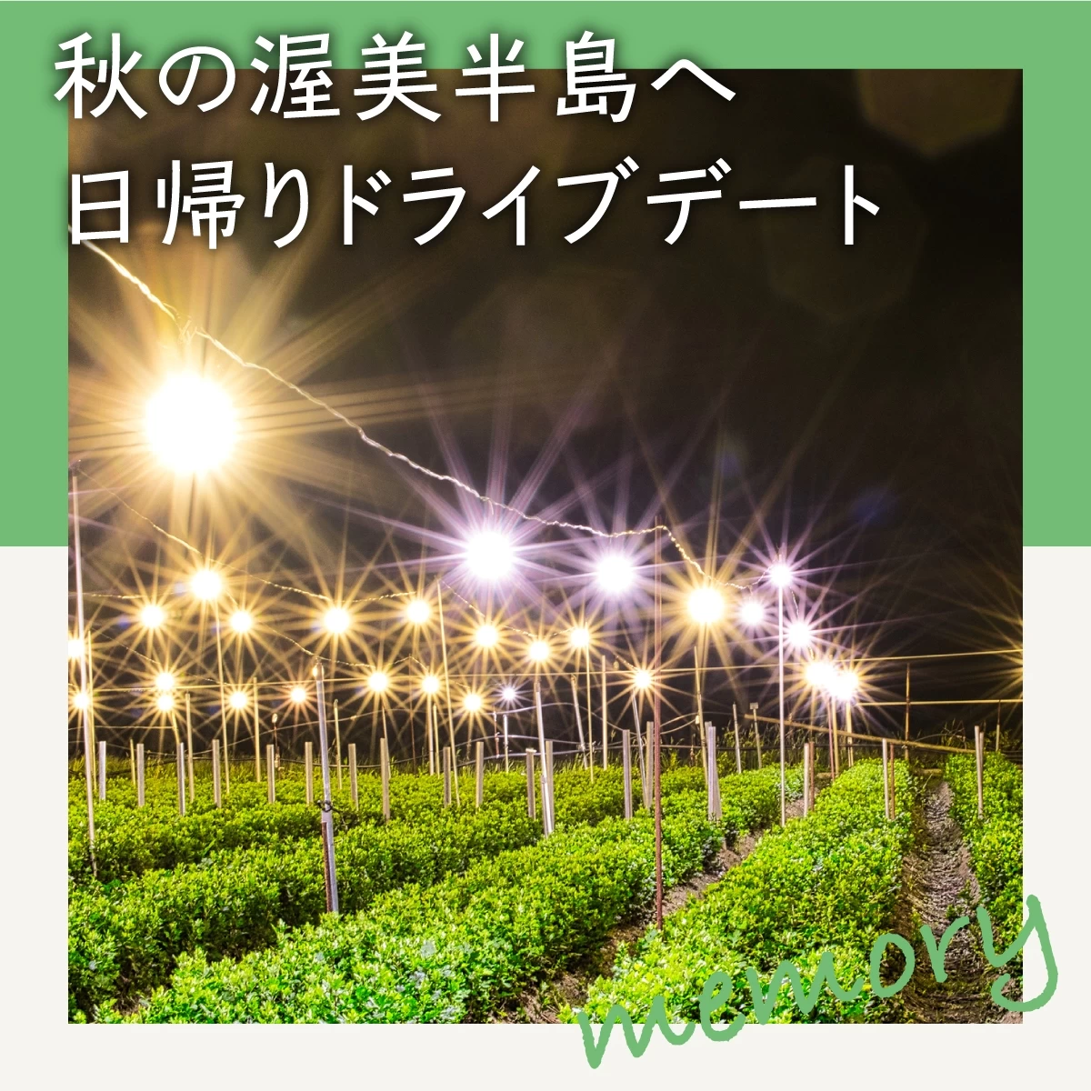 愛知・渥美半島へドライブデート！紅葉と“電照菊”の夜景を鑑賞｜旅行
